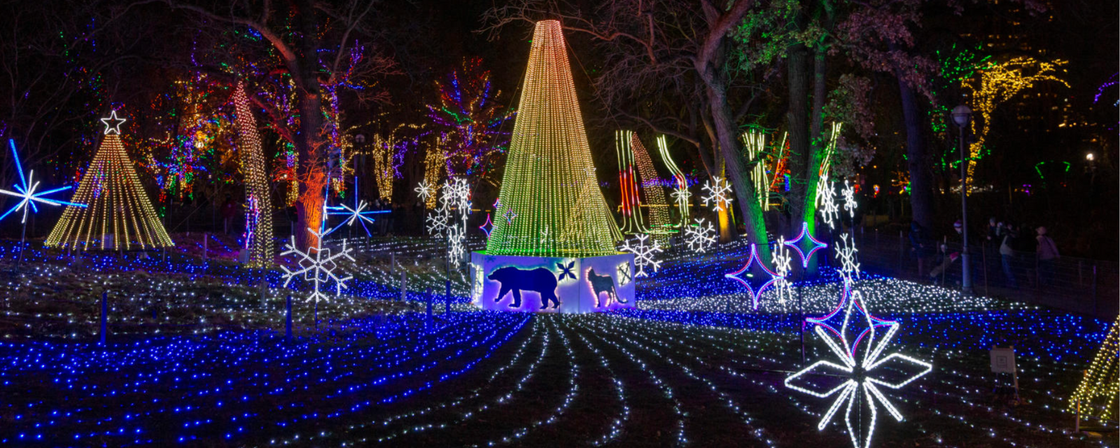 Lincoln Park Zoo ZooLights tunnel
