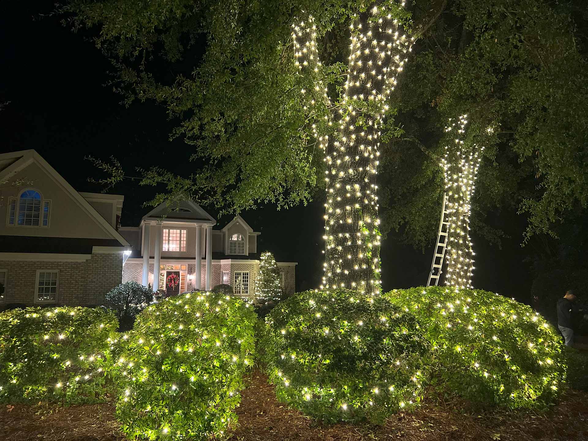 christmas lights budget planning