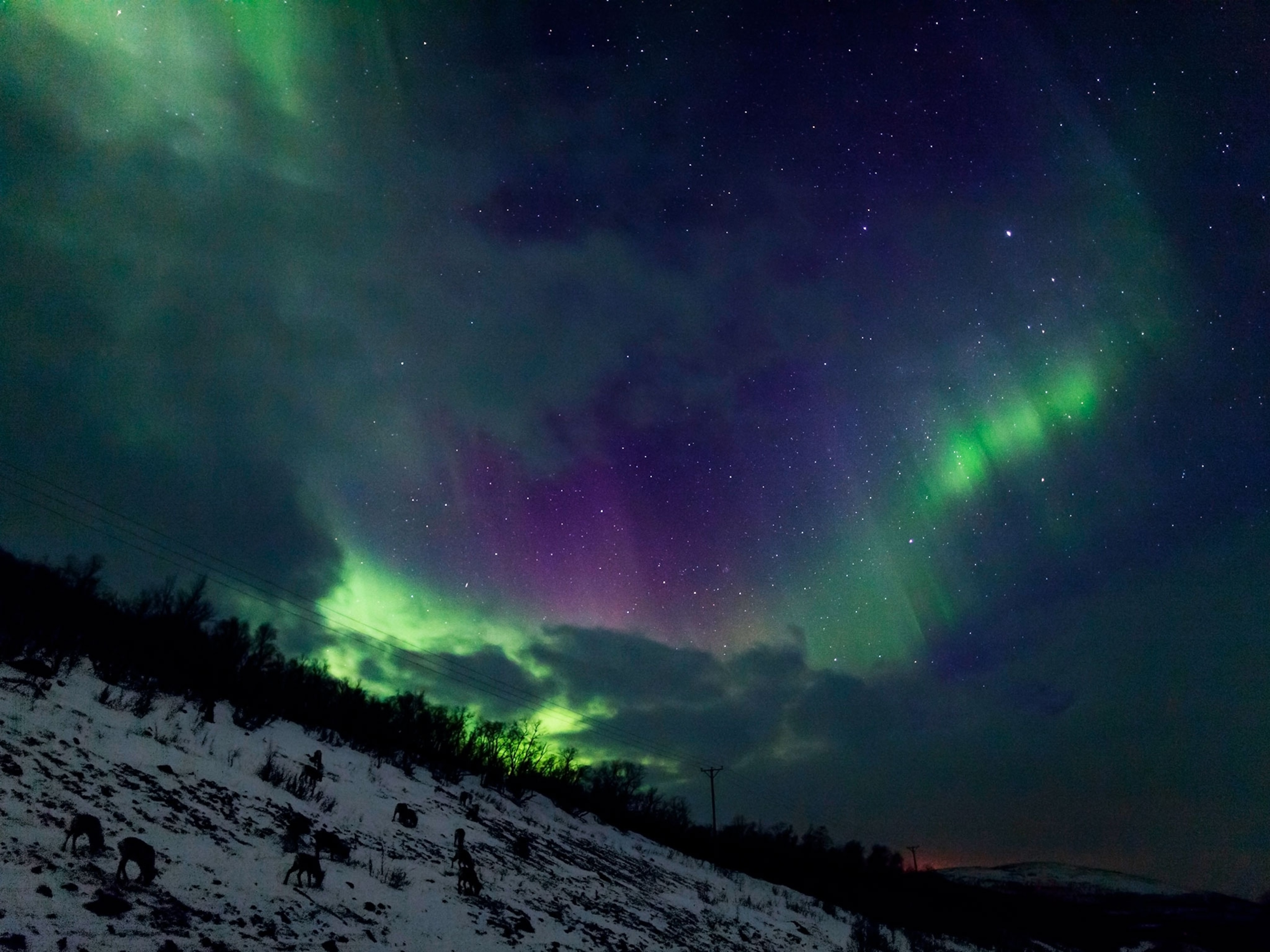 aurora borealis abisko sweden winter landscape