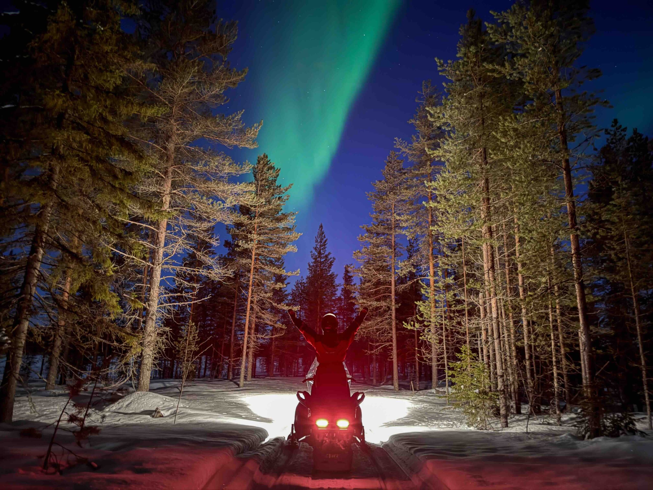 snowmobile safari arctic winter forest night