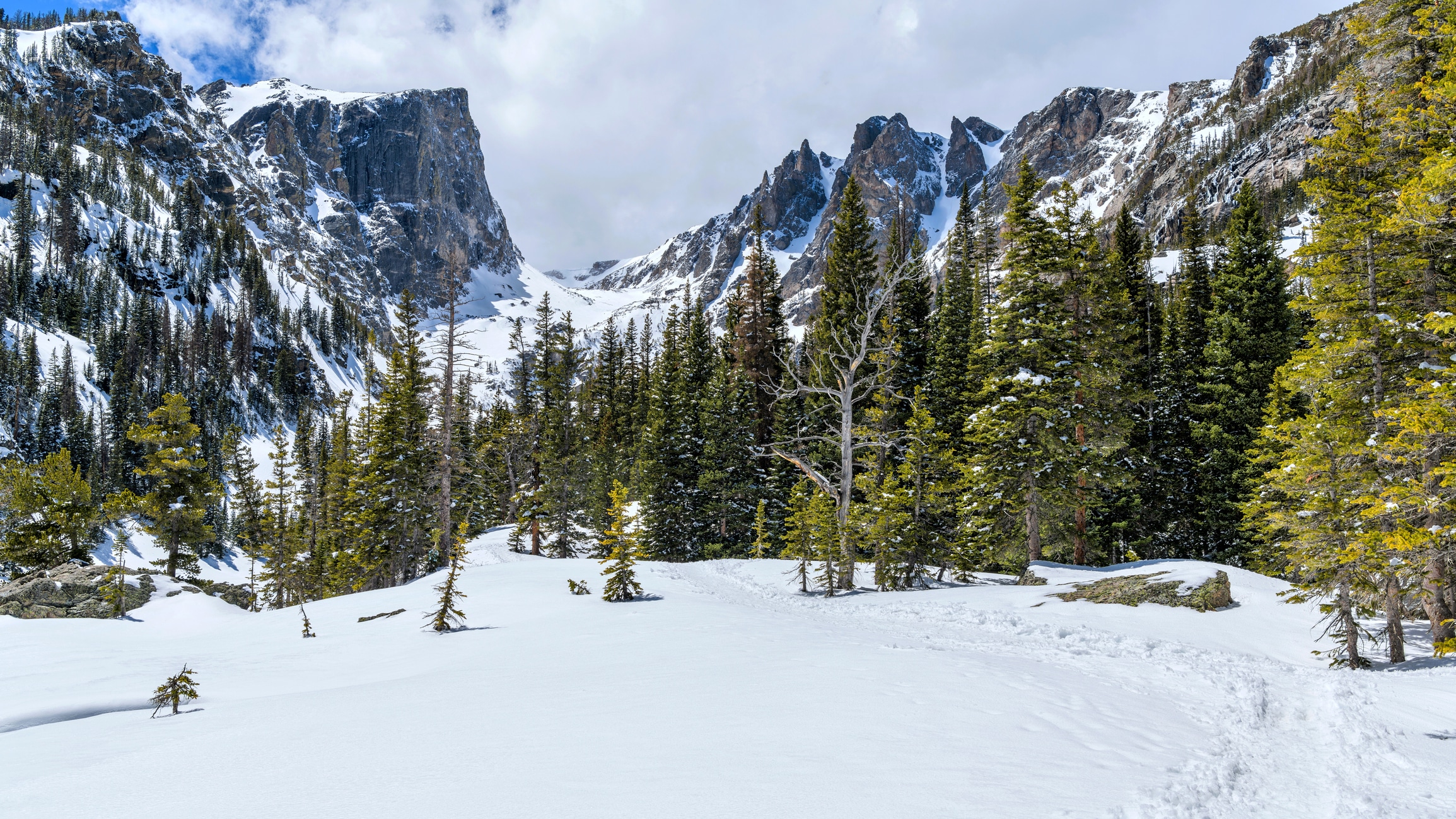 winter national park snowy mountain vista