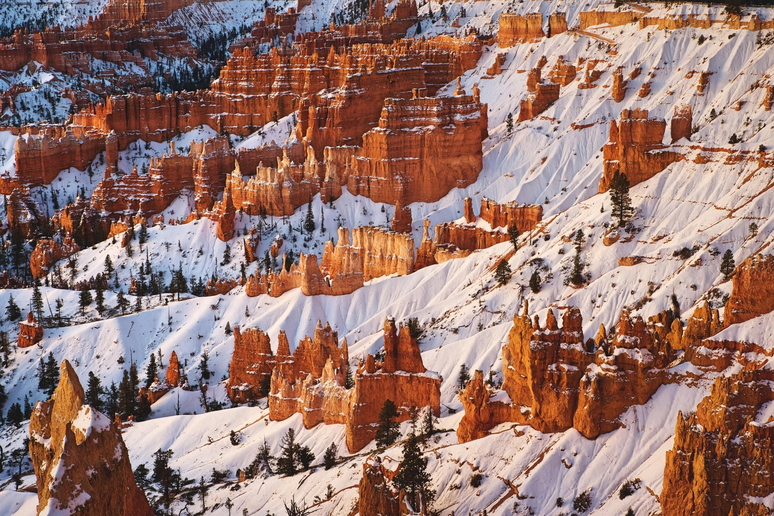 Bryce Canyon snow hoodoos winter