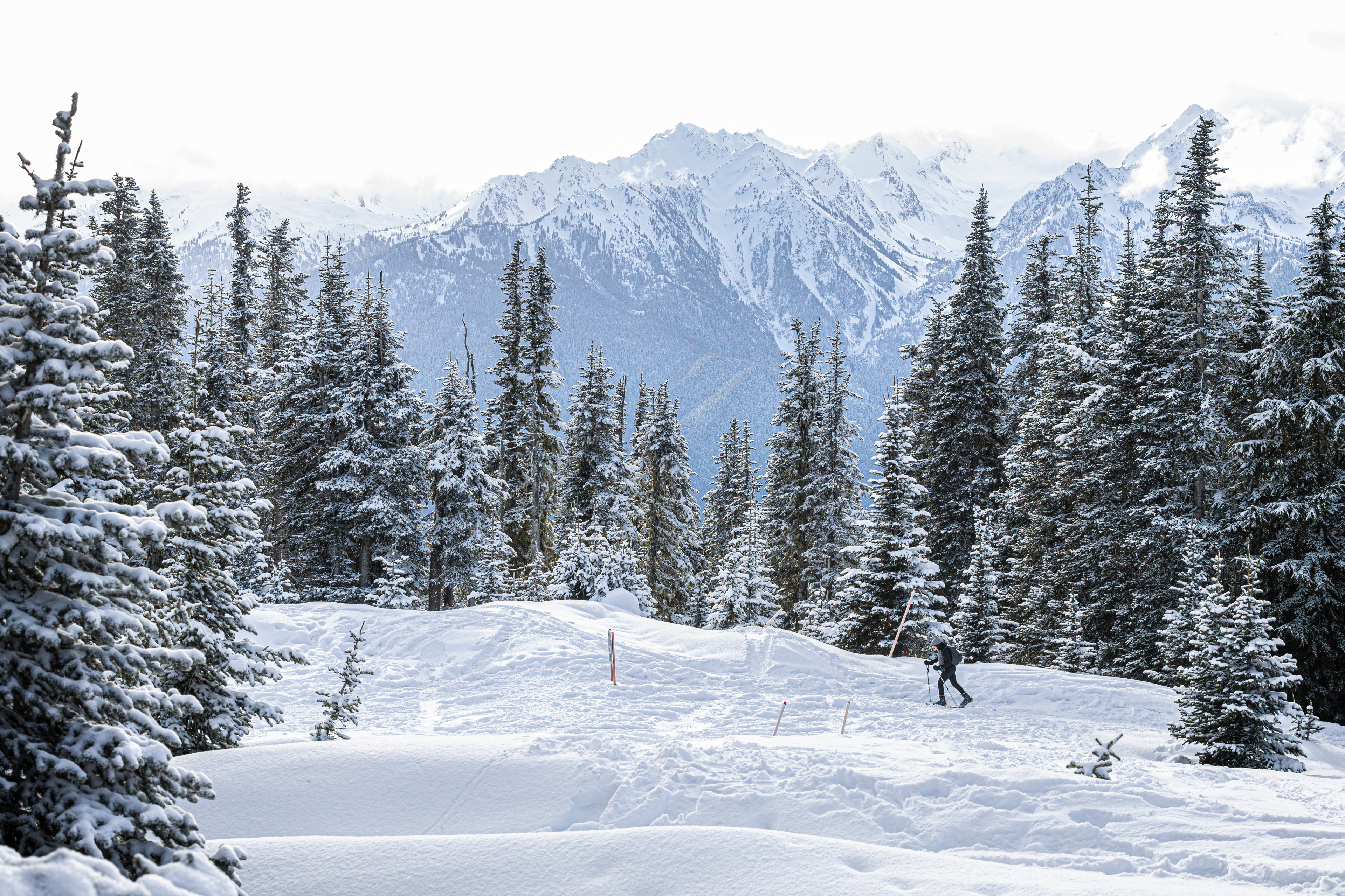 Hurricane Ridge snow Olympic National Park