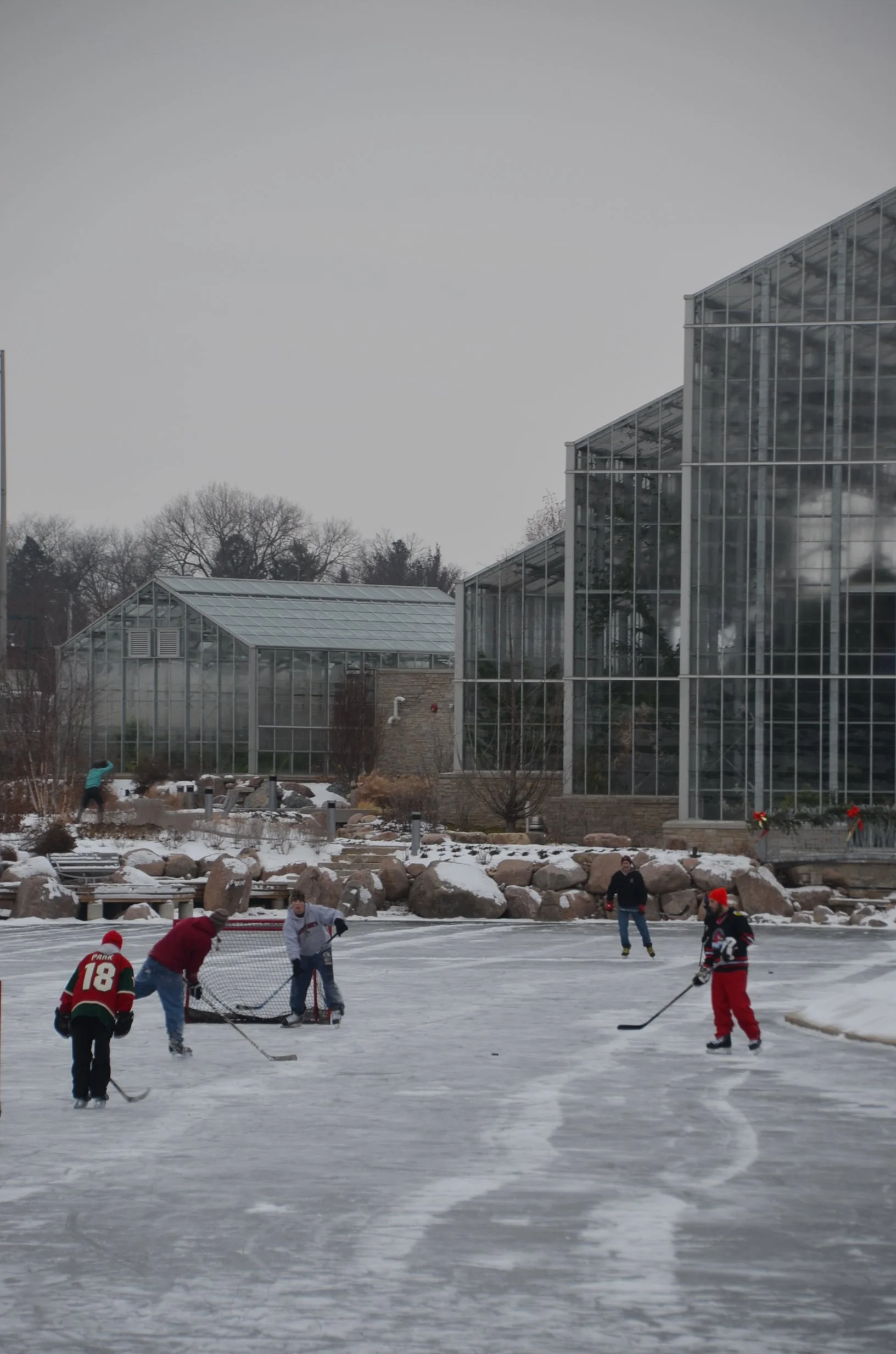 Eclipse Lagoon ice skating Rockford botanical garden