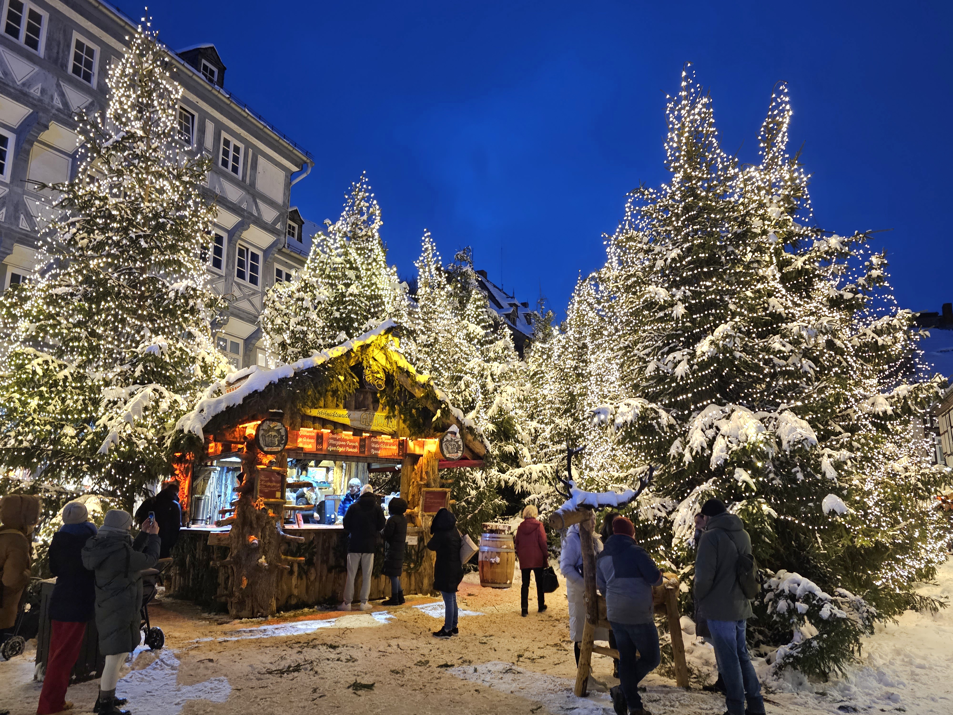 Goslar Christmas market forest of trees