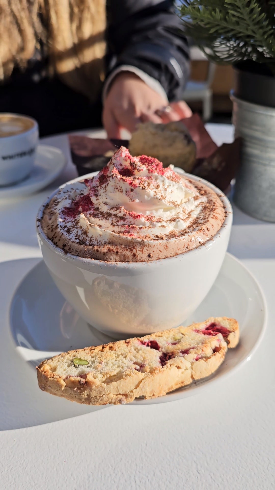 Banff hot chocolate trail winter whipped cream toppings
