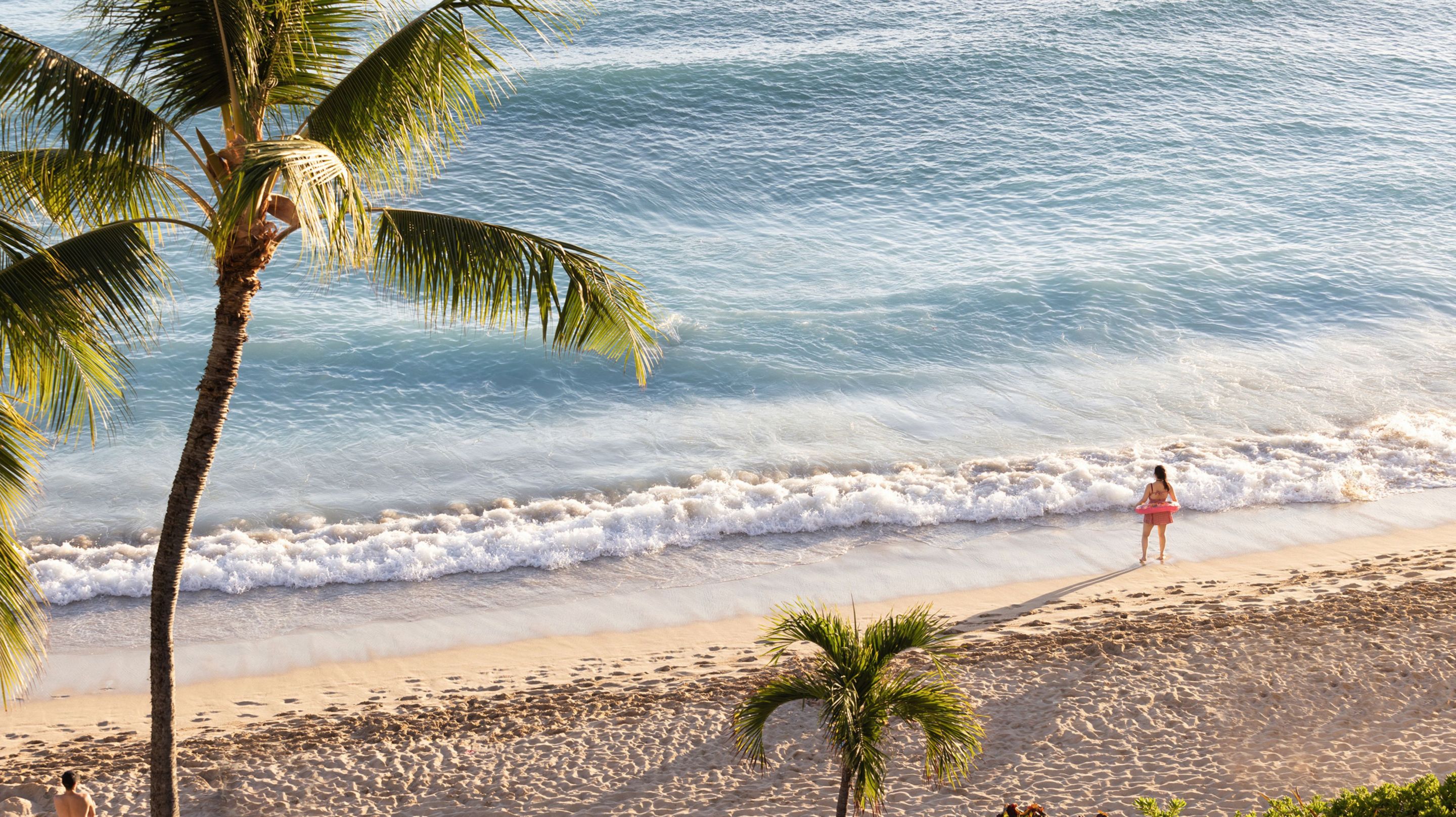couples beach vacation winter palm trees oceanfront