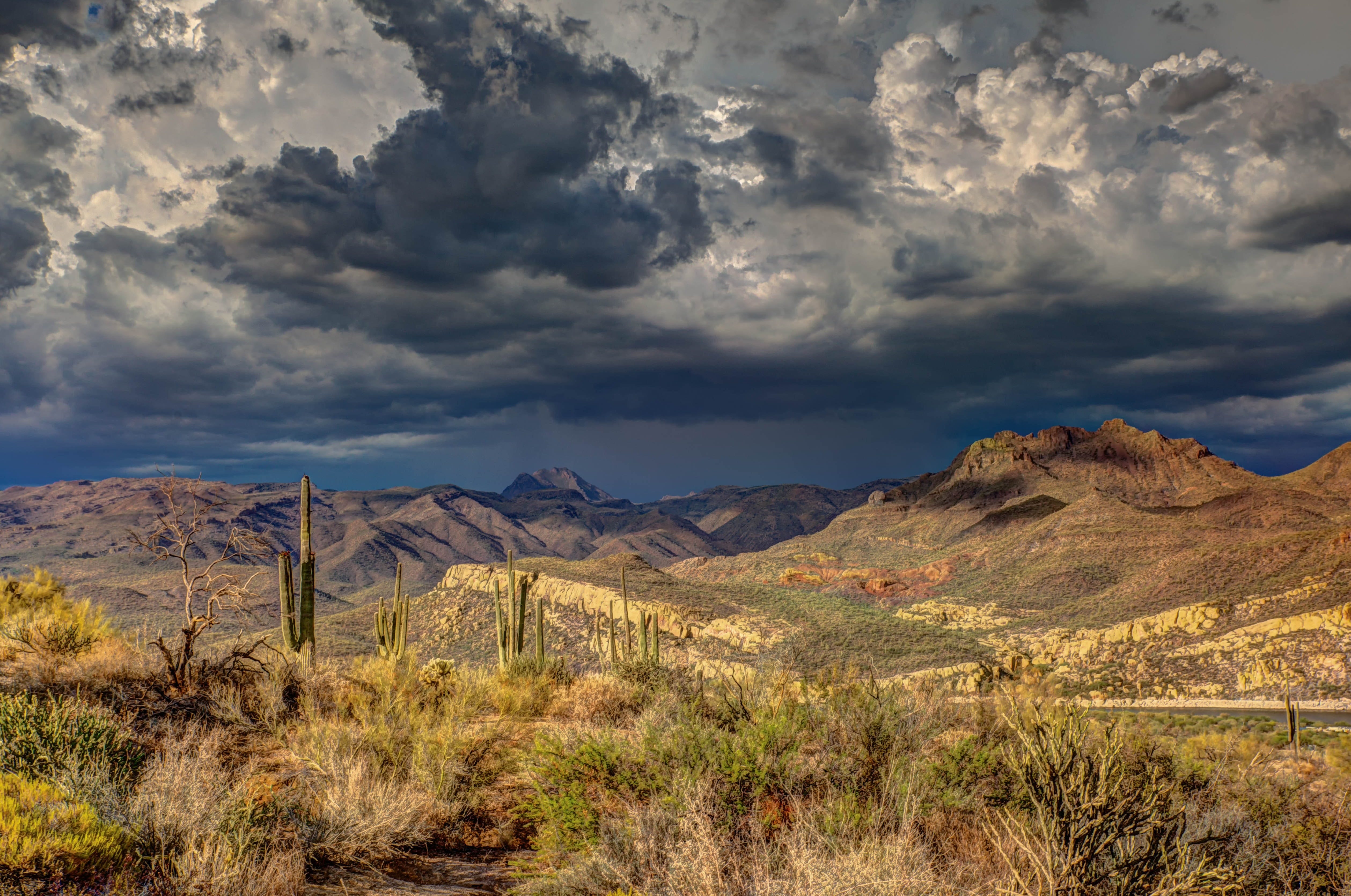 desert Southwest winter landscape