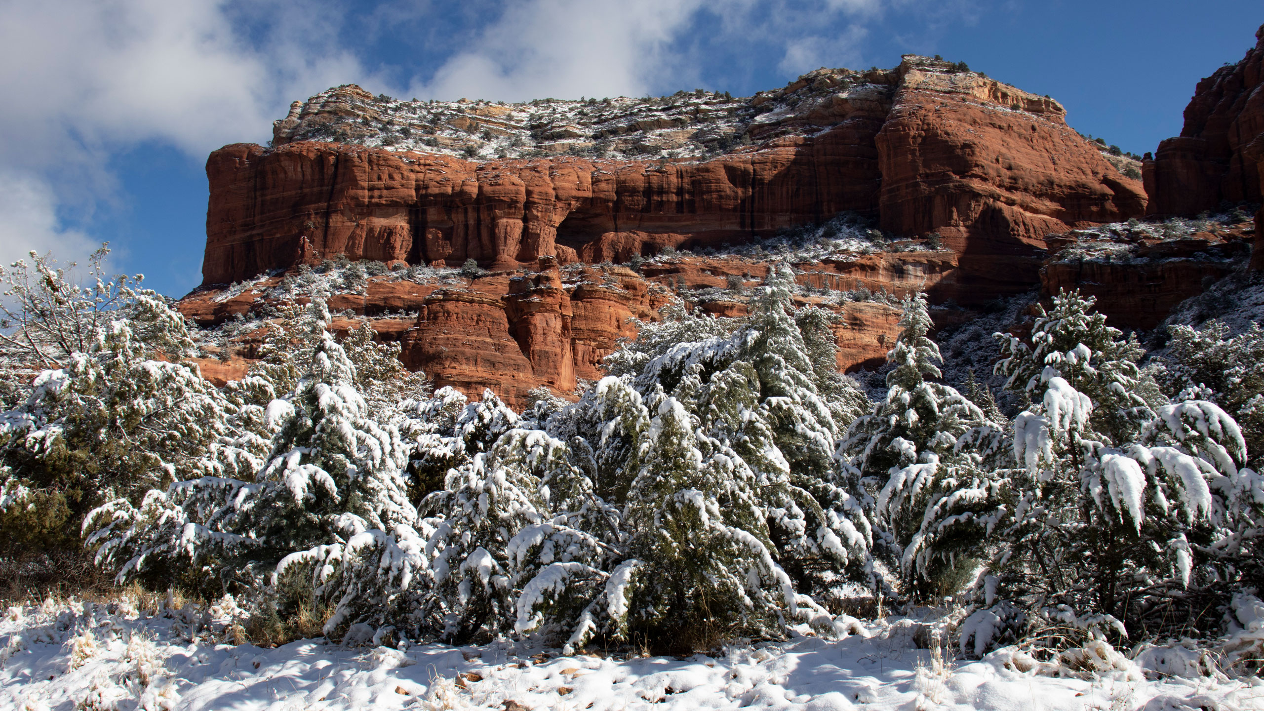 Sedona red rocks winter