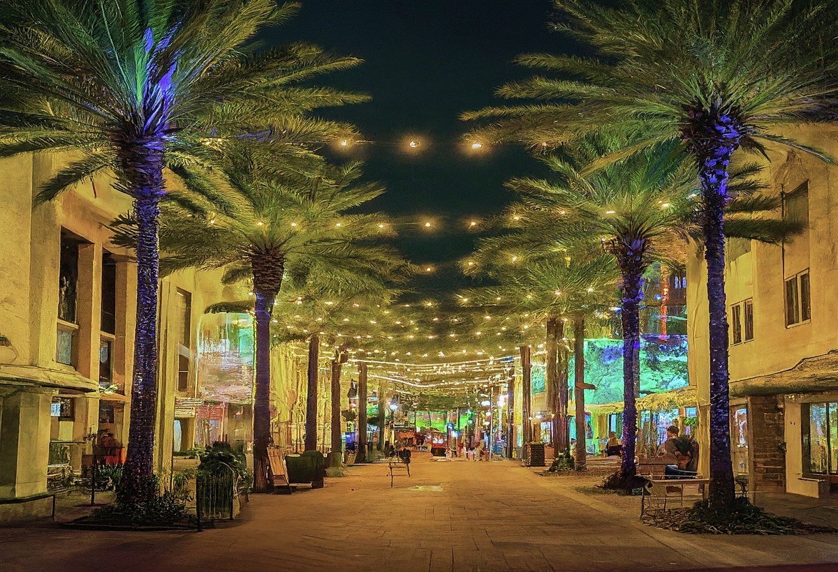 Fort Lauderdale Las Olas Boulevard palm trees
