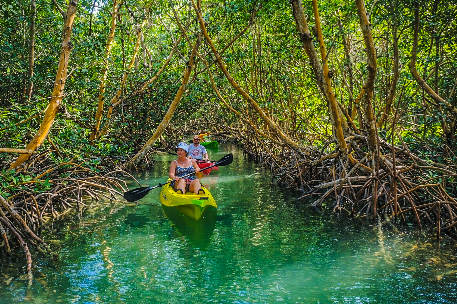 Islamorada Florida Keys mangrove kayaking