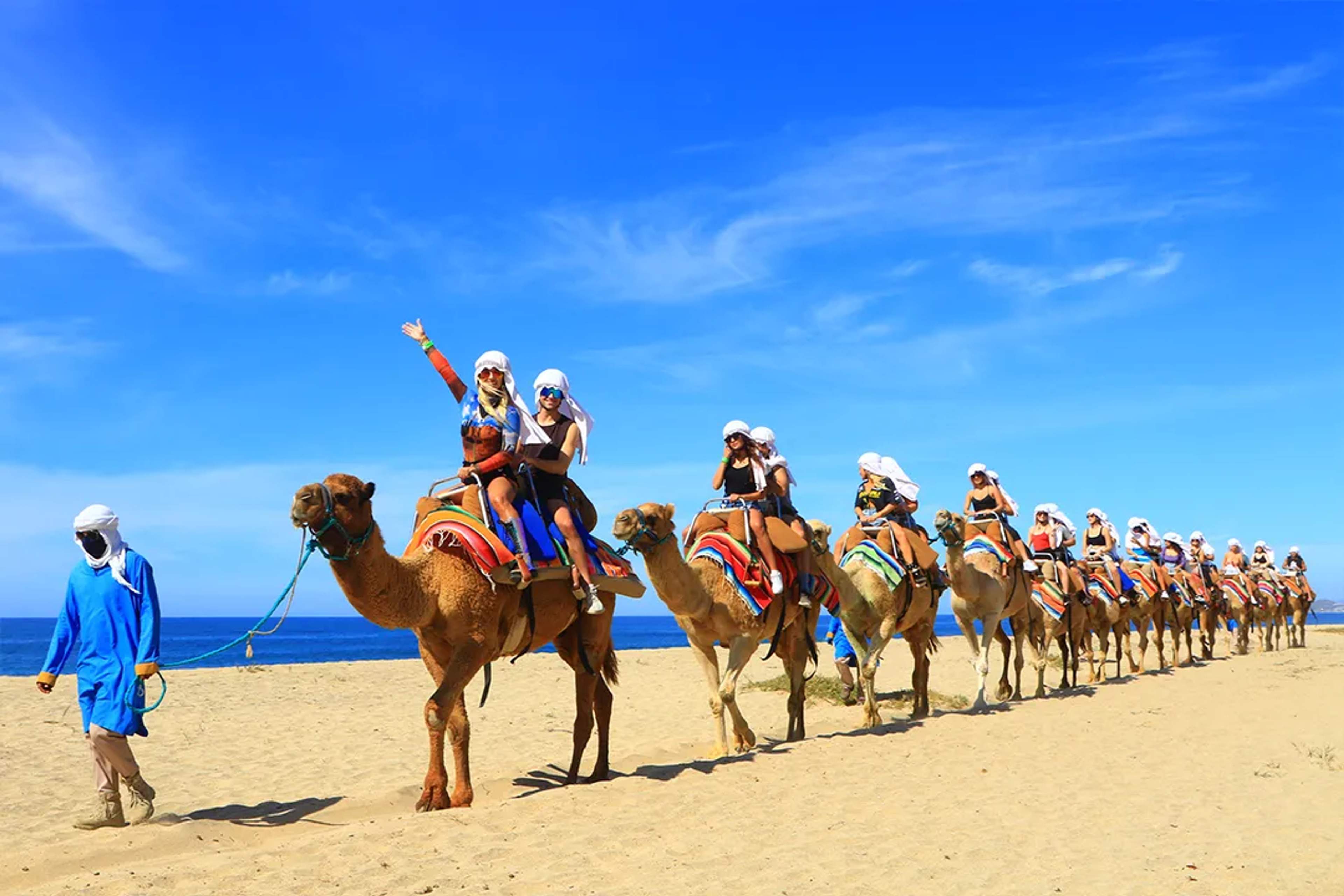cabo san lucas arch beach desert landscape