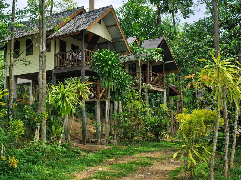 Khao Sok National Park trekking trail dry season firm footing