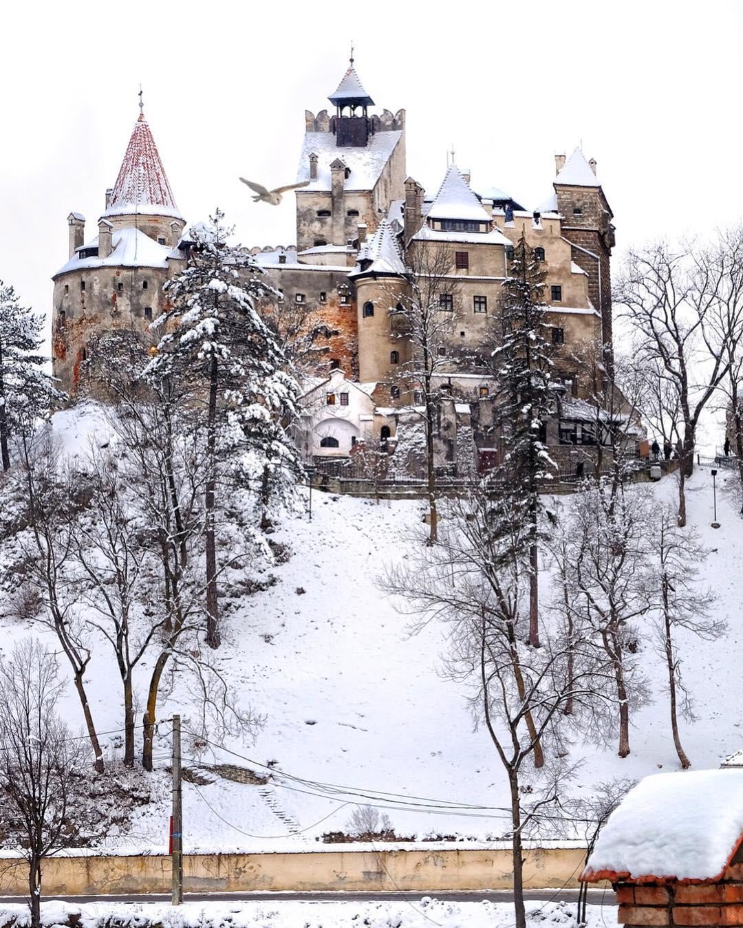 Bran Castle snow winter Romania