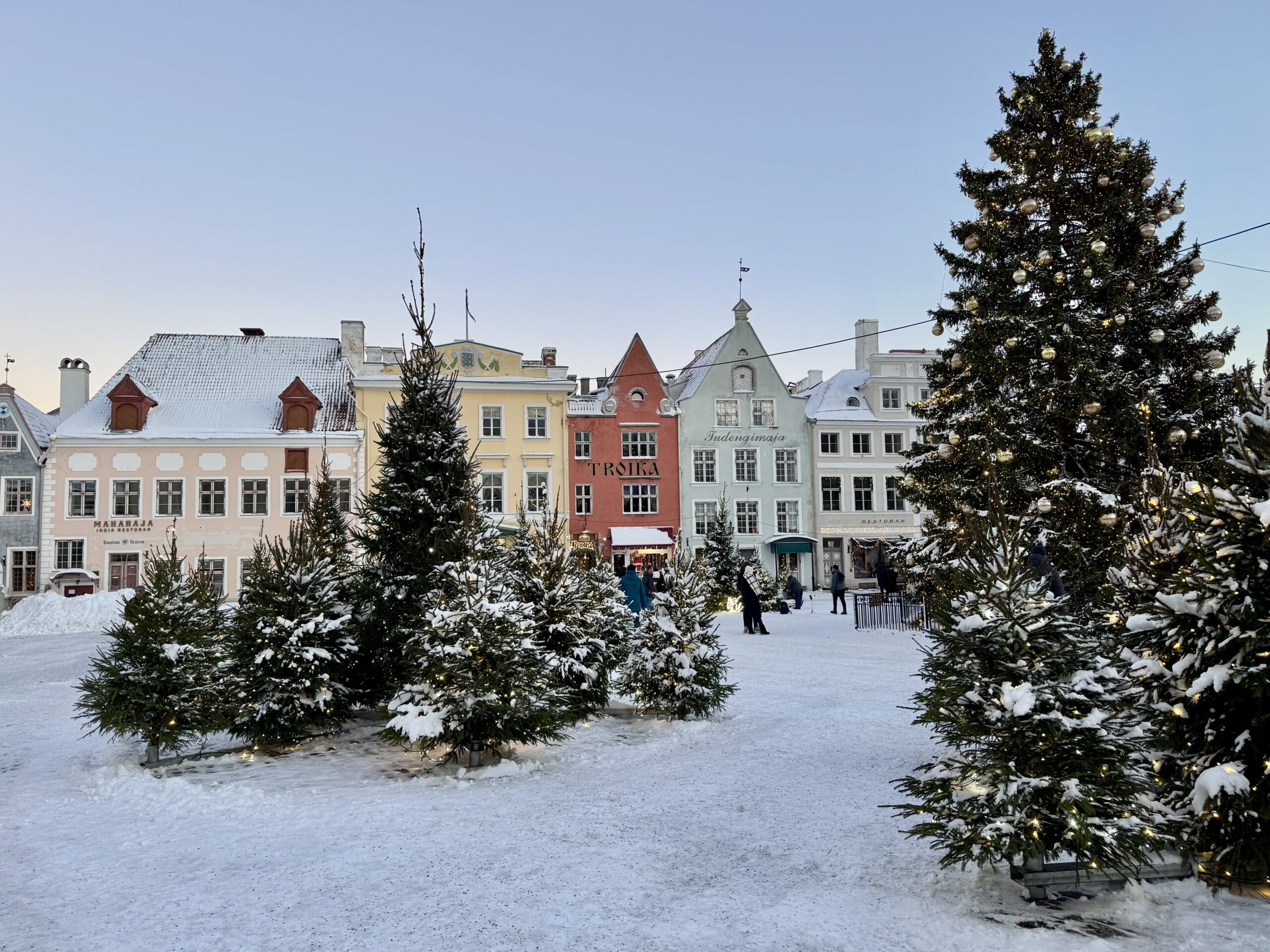 Tallinn Christmas Market Town Hall Square winter