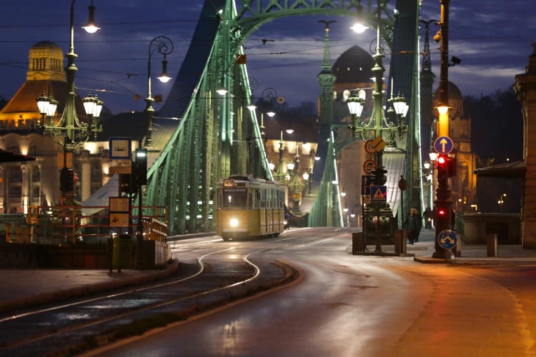 Liberty Bridge Budapest green steel night