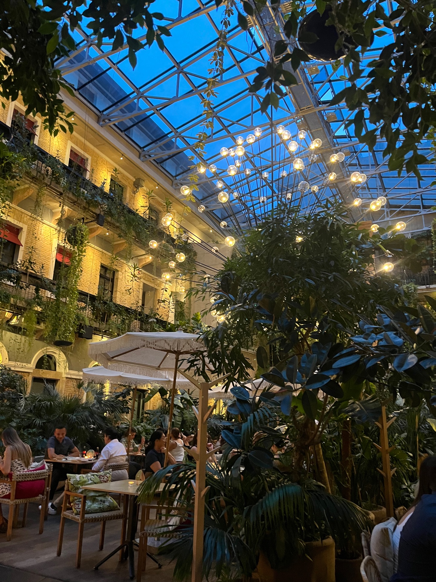Twentysix Budapest restaurant greenery