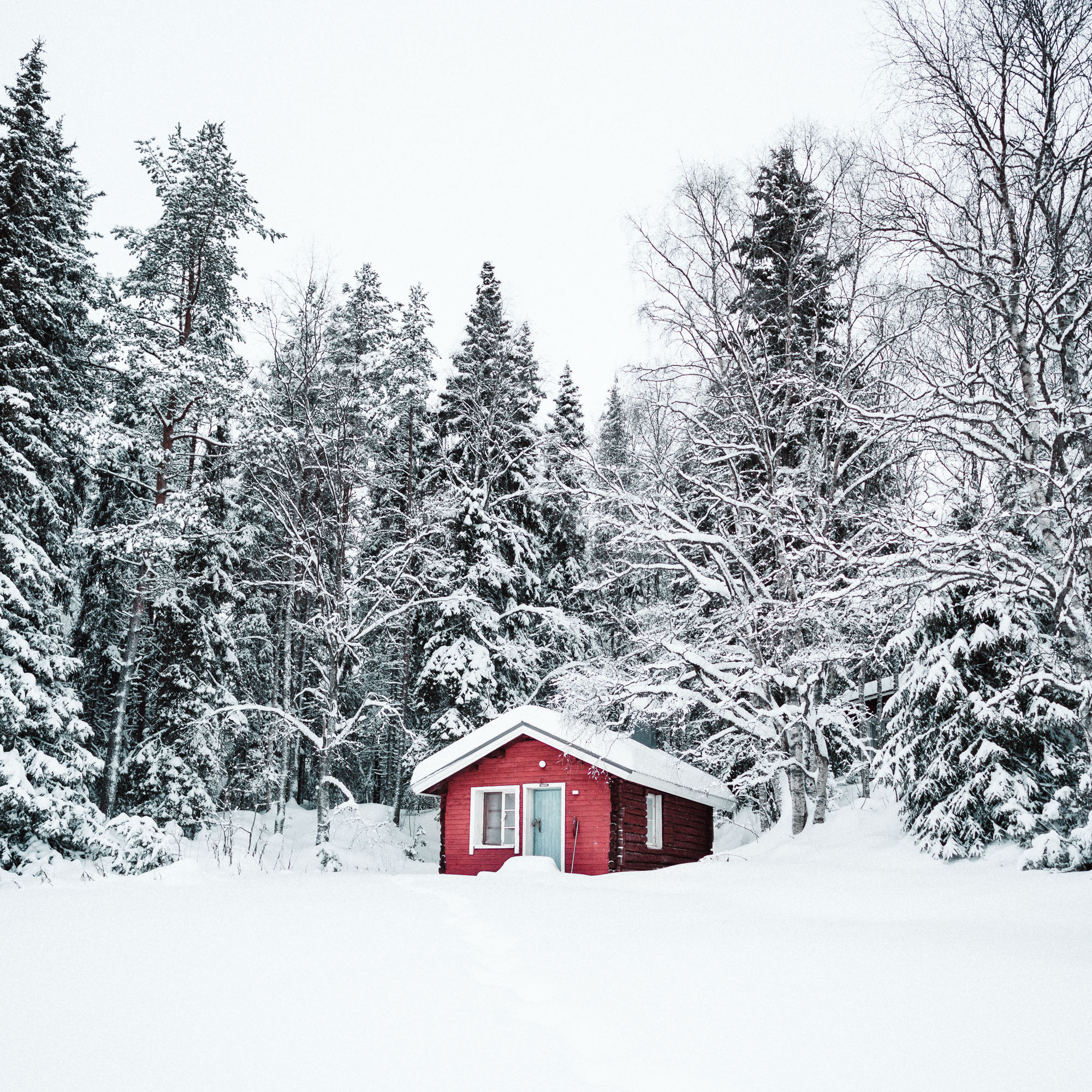 lapland finland winter cabin snow