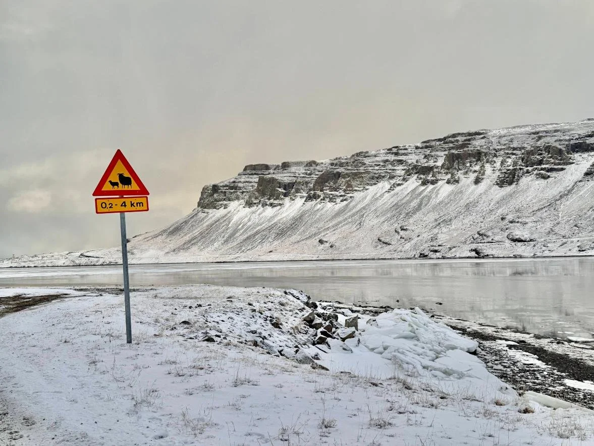 Iceland Route 1 winter snow road