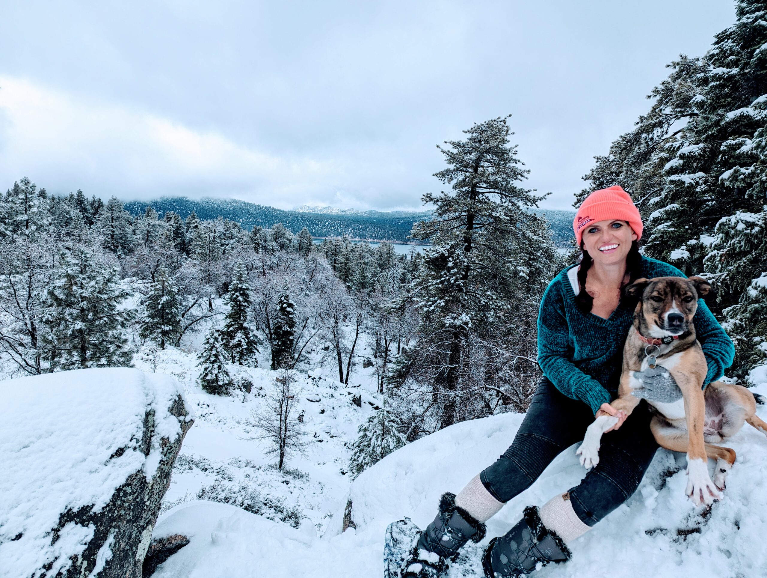 image search keyword: Big Bear Lake California winter shoreline