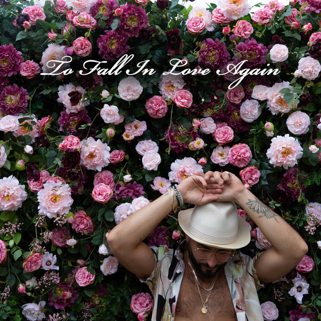 To Fall In Love Again
