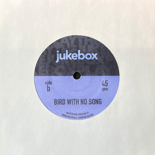 Bird With No Song