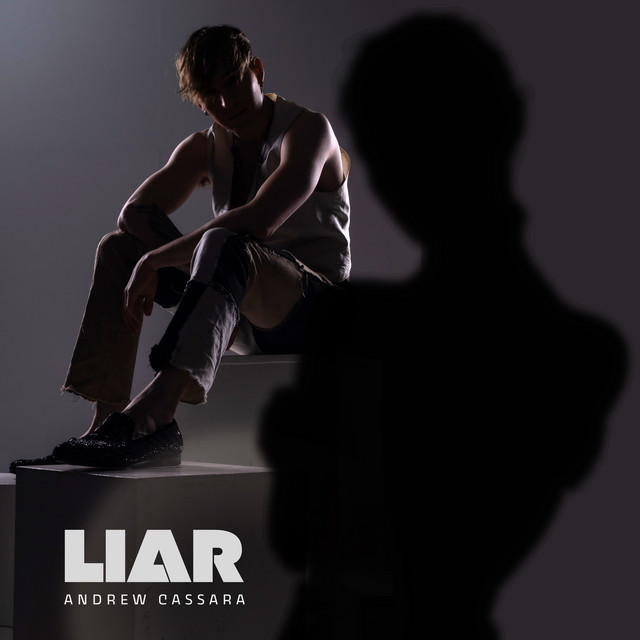 Cover art for Liar by Andrew Cassara