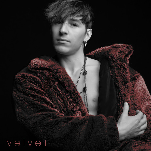 Cover art for Velvet by Andrew Cassara