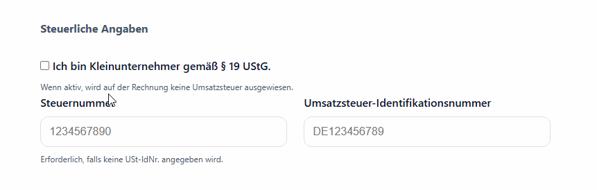 Screenshot: Einstellung Kleinunternehmer im Tool aktivieren