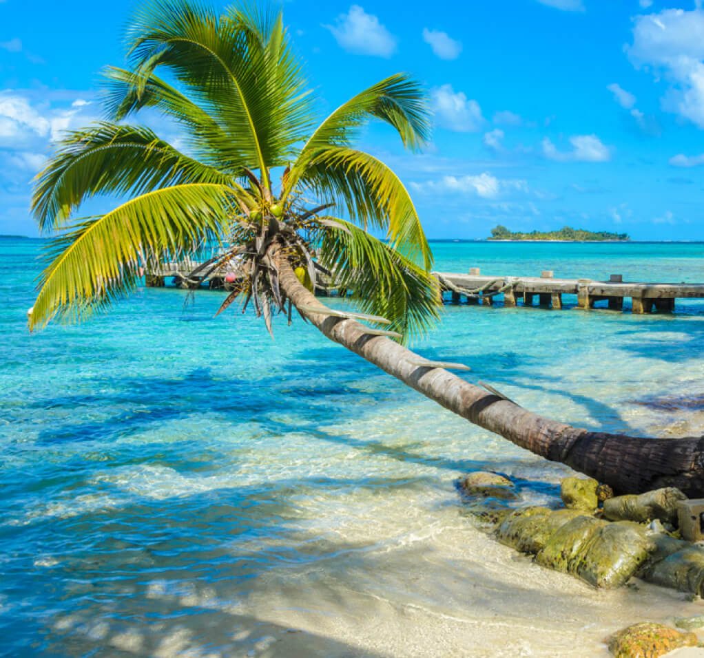 Luxury Yacht Charter Central America Belize (3) | Phoenix Yacht Management Luxury Yacht Charter Central America Belize (3)