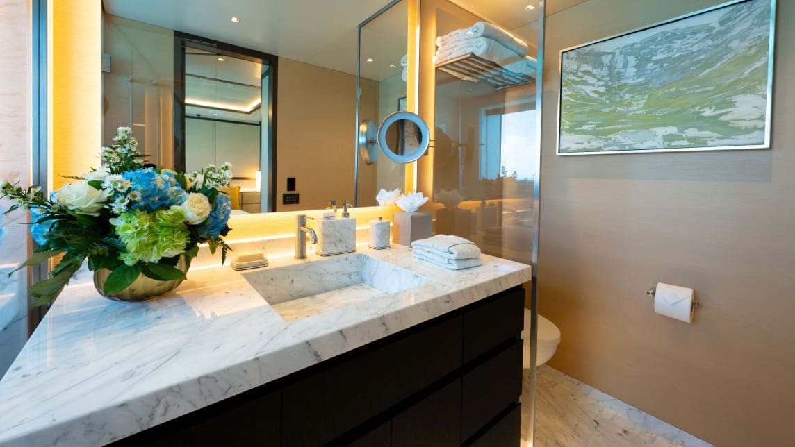 LIMERENCE yacht for Charter (32) | Phoenix Yacht Management