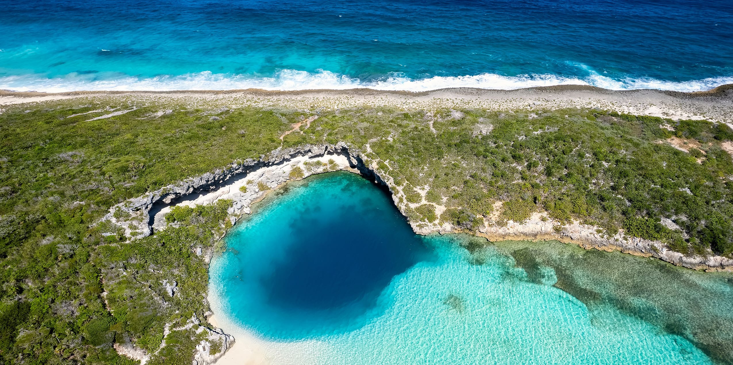 Yacht Charter in the Bahamas: An Unforgettable Diving Experience (9) Yacht Charter in the Bahamas: An Unforgettable Diving Experience (9) | Phoenix Yacht Management