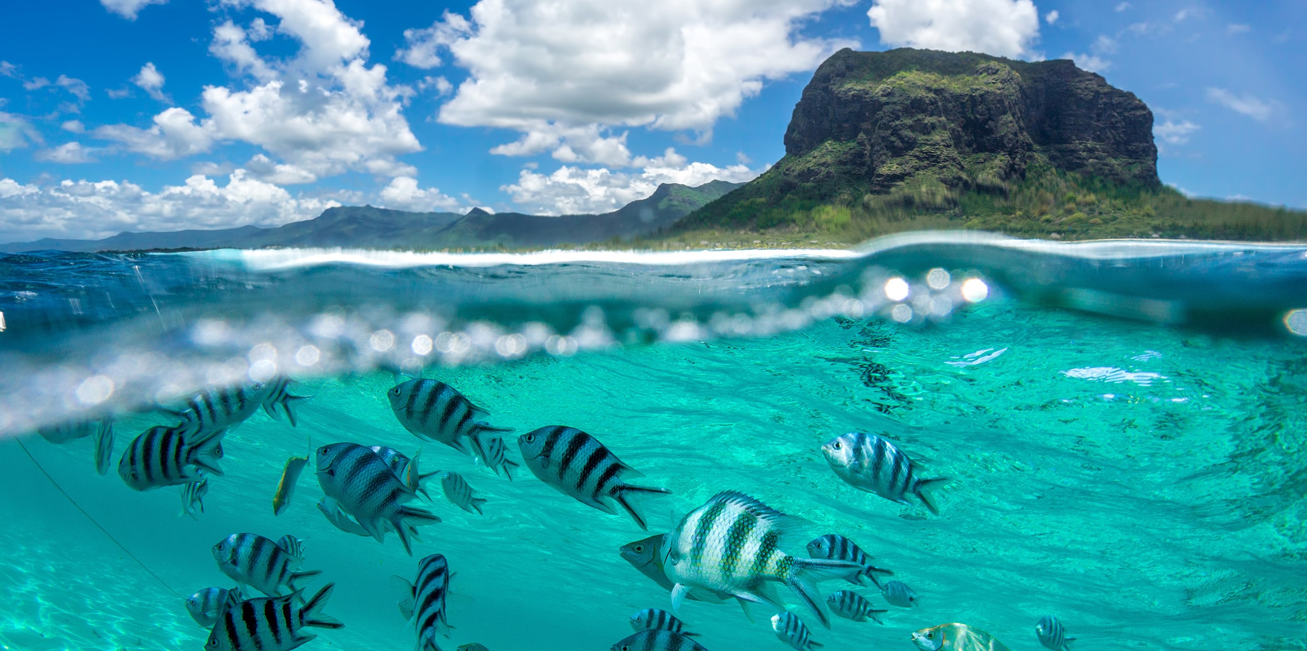 MAURITIUS – A YACHT CHARTER IN THE INDIAN OCEAN (8) MAURITIUS – A YACHT CHARTER IN THE INDIAN OCEAN (8) | Phoenix Yacht Management