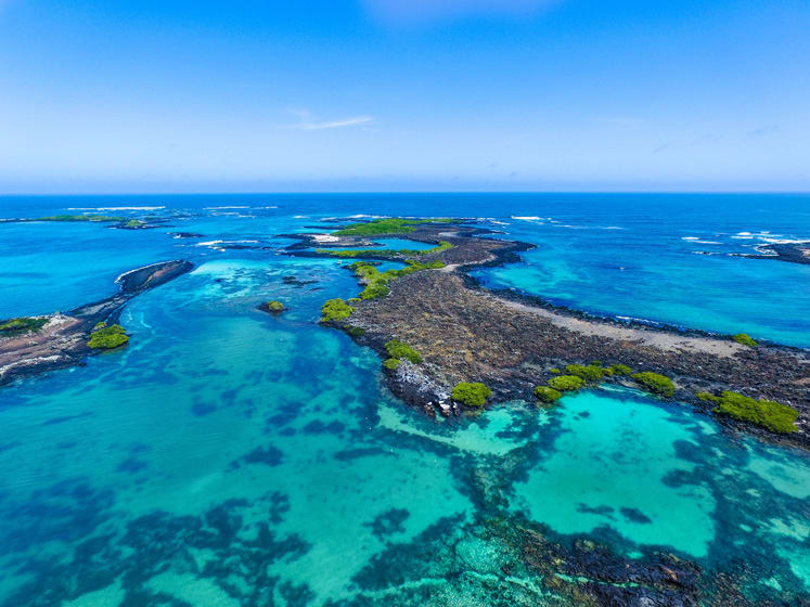 Luxury Yacht Charter South America Galapagos (4) | Phoenix Yacht Management Luxury Yacht Charter South America Galapagos (4)