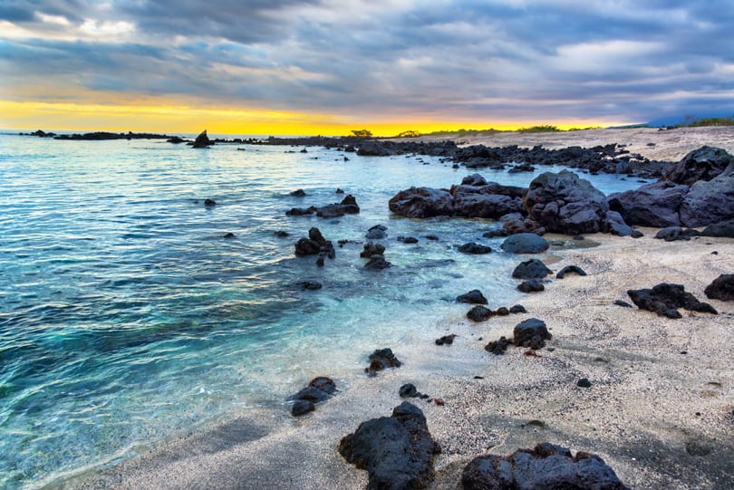 Luxury Yacht Charter South America Galapagos (7) | Phoenix Yacht Management Luxury Yacht Charter South America Galapagos (7)