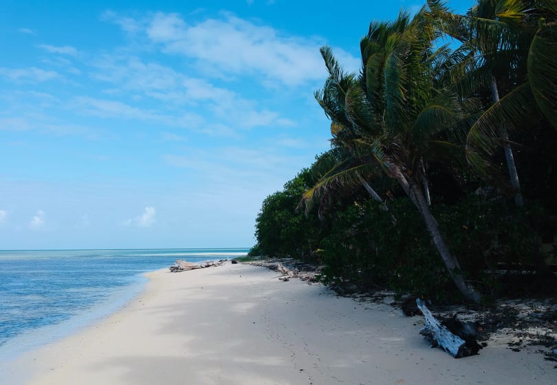 Luxury Yacht Charter The Pacific & Oceania Fiji (7)