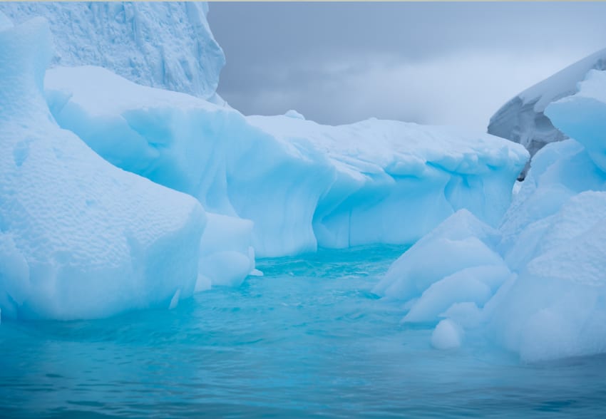Luxury Yacht Charter Antarctica (7)