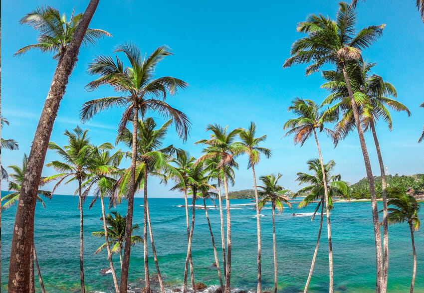 Luxury Yacht Charter South East Asia Sri Lanka (6) | Phoenix Yacht Management A luxury superyacht charter experience in Asia