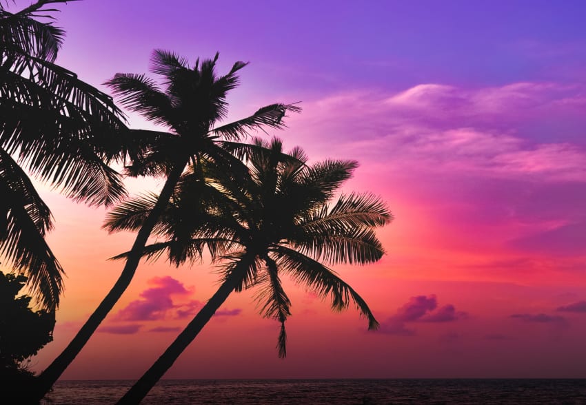 Luxury Yacht Charter Indian Ocean Maldives (7) | Phoenix Yacht Management A luxury yacht charter in the Indian Ocean