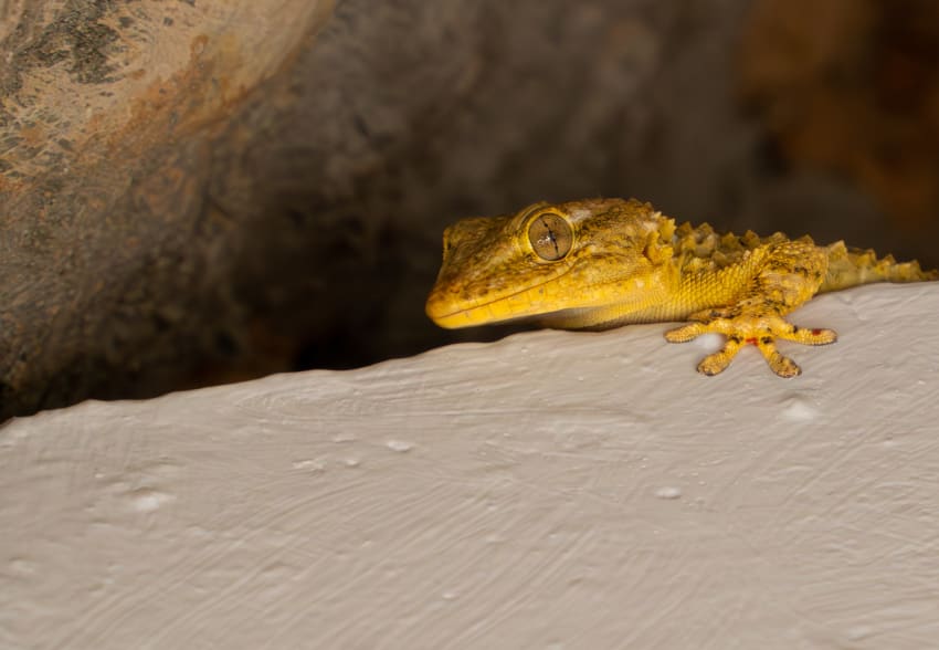 Balearics Yacht Charter