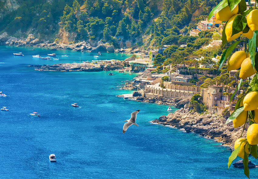 Yacht Charter in Capri (9) | Phoenix Yacht Management