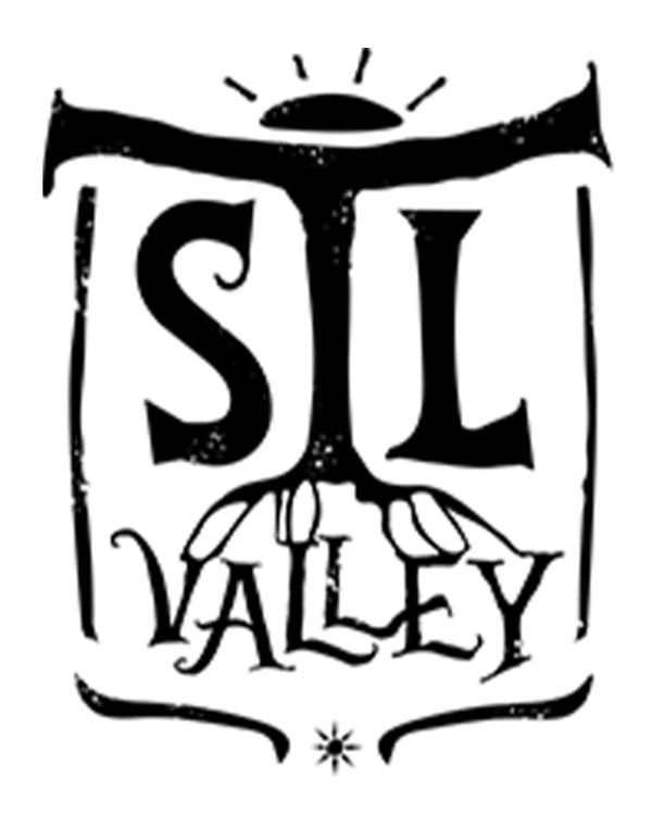 Logo STL Valley