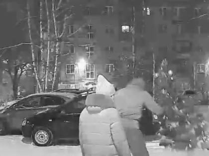 Похитителями ёлки в новокузнецком дворе оказались весёлые цыгане (ВИДЕО)