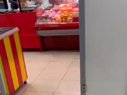 Новокузнечанин повстречал в ТРЦ «Глобус» неторопливую мышь (ВИДЕО)