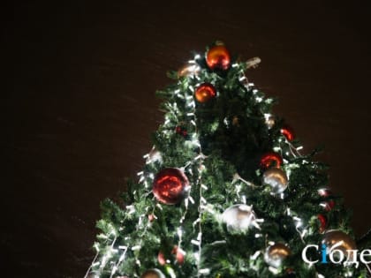 Кузбассовцев развезут по домам в рождественскую ночь