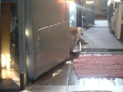 Новые инициативы в области здравоохранения: что ждет граждан в 2024 году