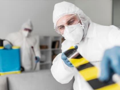 В Камчатском крае введен режим ЧС из-за птичьего гриппа