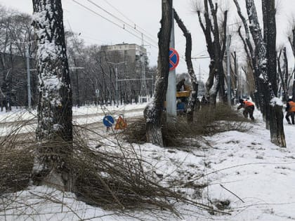 Полезные уроки от природы