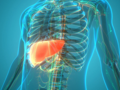 Неделя профилактики заболеваний печени