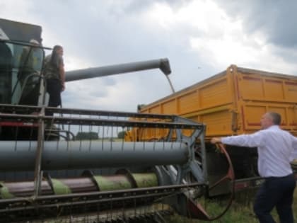 В Тяжинском округе началась уборочная страда